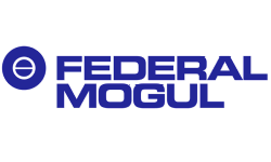 Federal Mogul